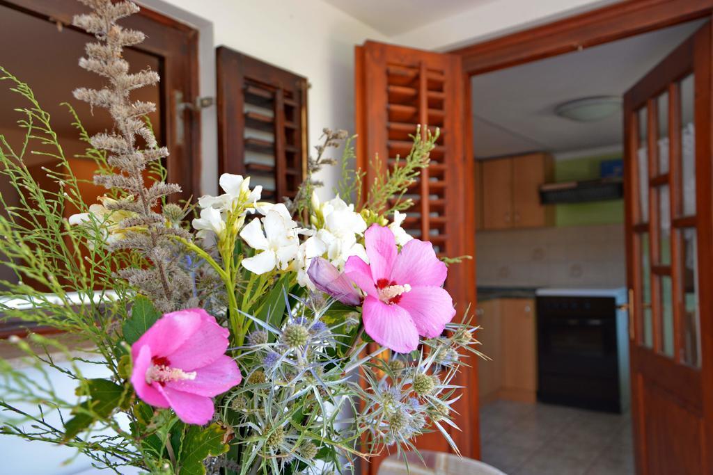 Apartments Joza Vir Exterior photo